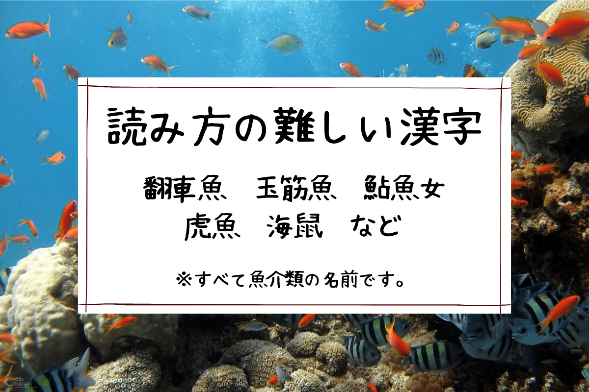 読み方が難しい漢字 翻車魚 玉筋魚 鮎魚女 虎魚 海鼠 など とりびあライフ